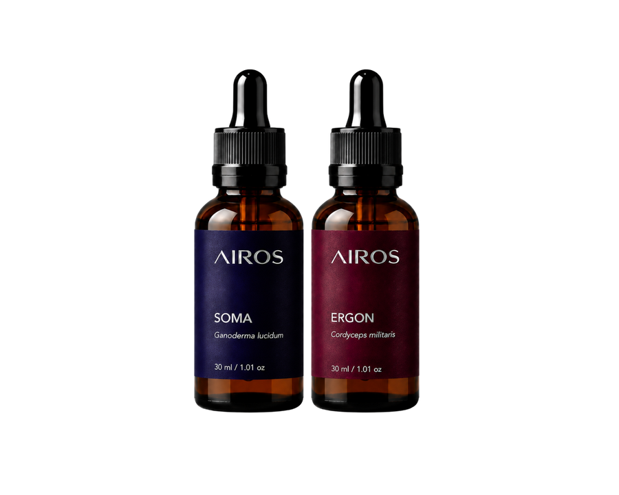 Kit Sistema Físico — ERGON + SOMA