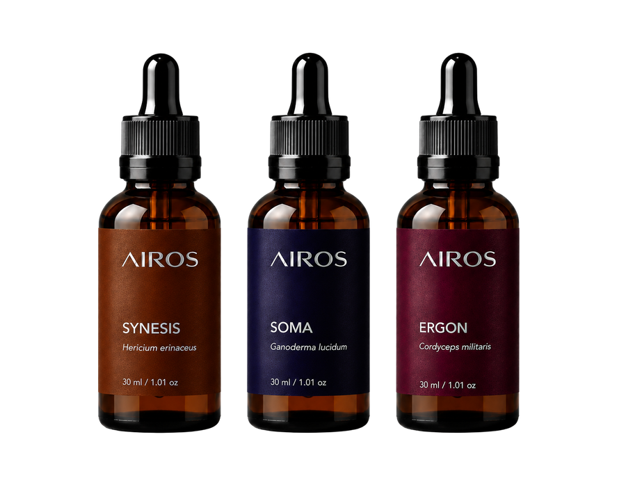 Kit Sistema Essencial · SYNESIS + SOMA + ERGON
