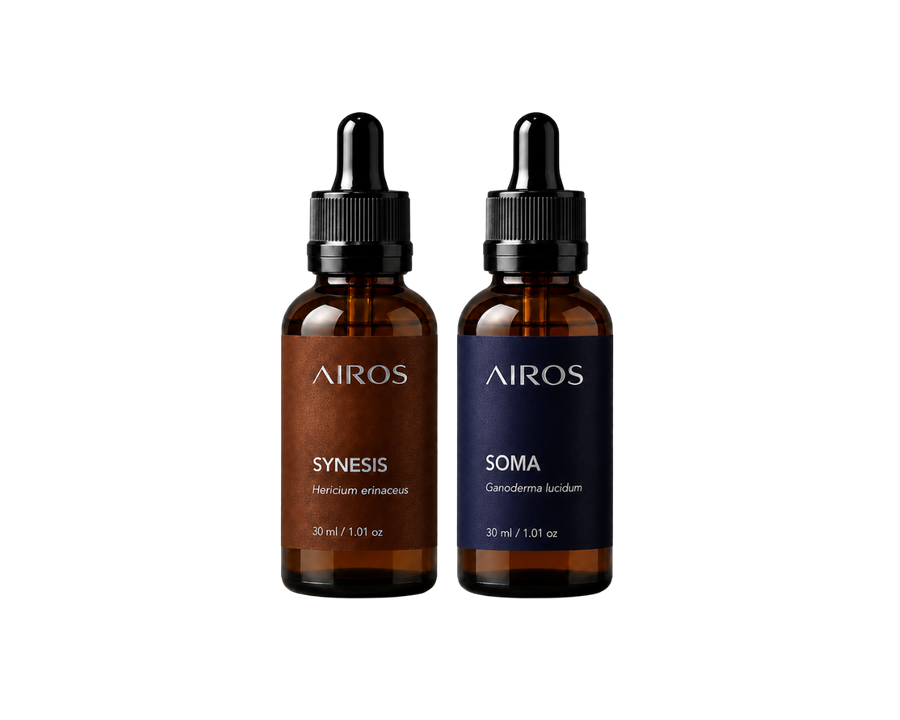 Kit Sistema Base — SYNESIS + SOMA