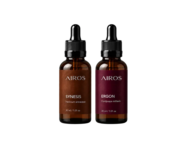 SYNESIS + ERGON