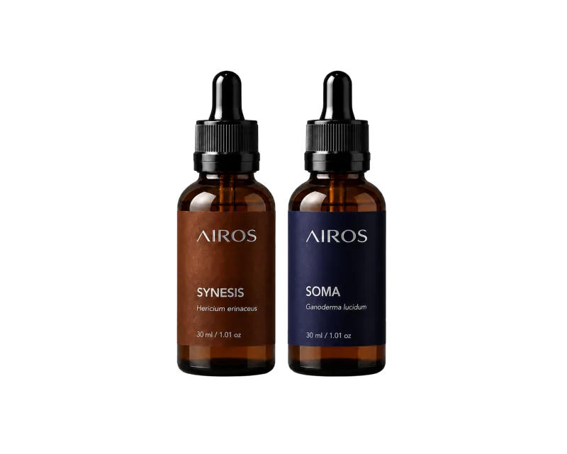 SYNESIS + SOMA