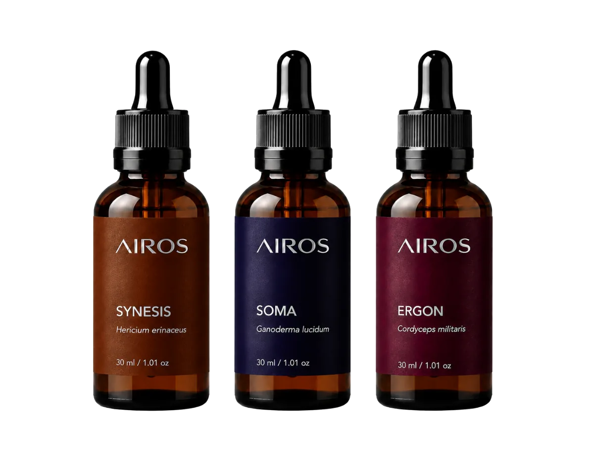 Kit Sistema Essencial: SYNESIS, SOMA e ERGON