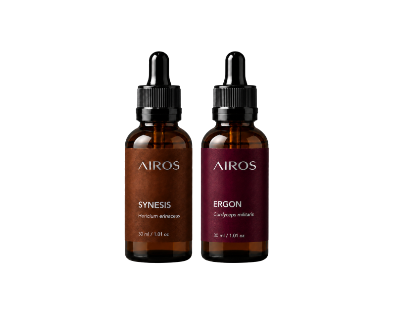 SYNESIS + ERGON