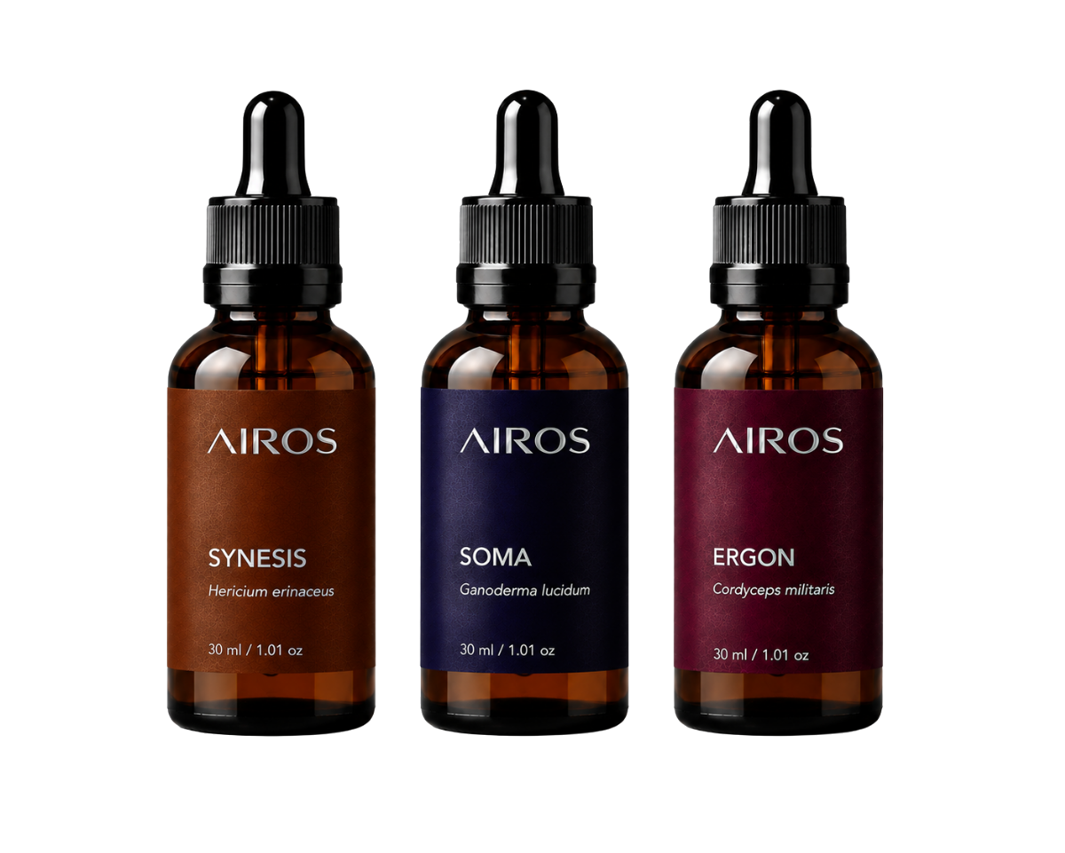 Kit Sistema Essencial: SYNESIS, SOMA e ERGON